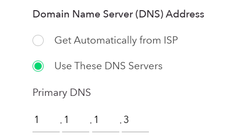 input for setting the domain name server ip